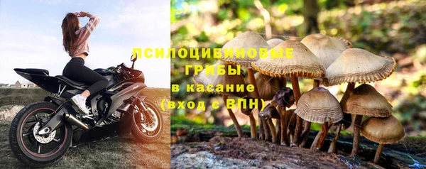 не бодяженный Абинск