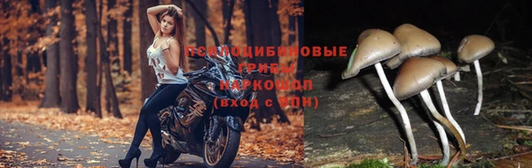 метадон Алзамай