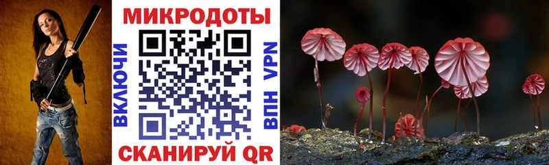 KRAKEN ТОР  сколько стоит  Елизаветинская  Псилоцибиновые грибы GOLDEN TEACHER 